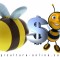 apicultura si economie