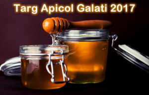 Targ Apicol Galati 2017 - Apicultura Online
